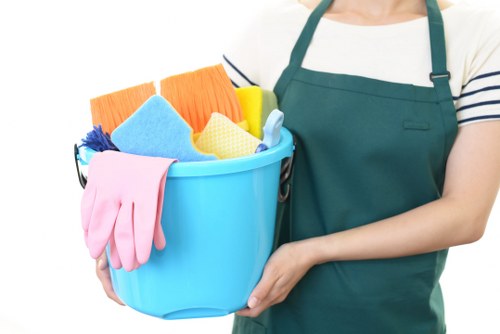 Professional sofa cleaning in a Hammersmith home
