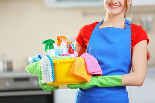 Professional hard floor cleaning for Hammersmith homes and businesses