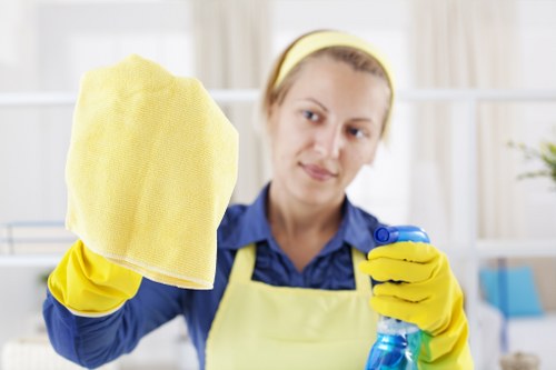 Local curtain cleaning service working in a Hammersmith property
