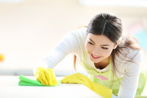 Keyboard navigation and screen-reader friendly Hammersmith cleaner service page