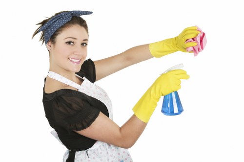 Roofline and gutter maintenance service in Hammersmith