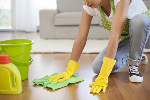 Bin store and shared access cleaning in a Hammersmith property